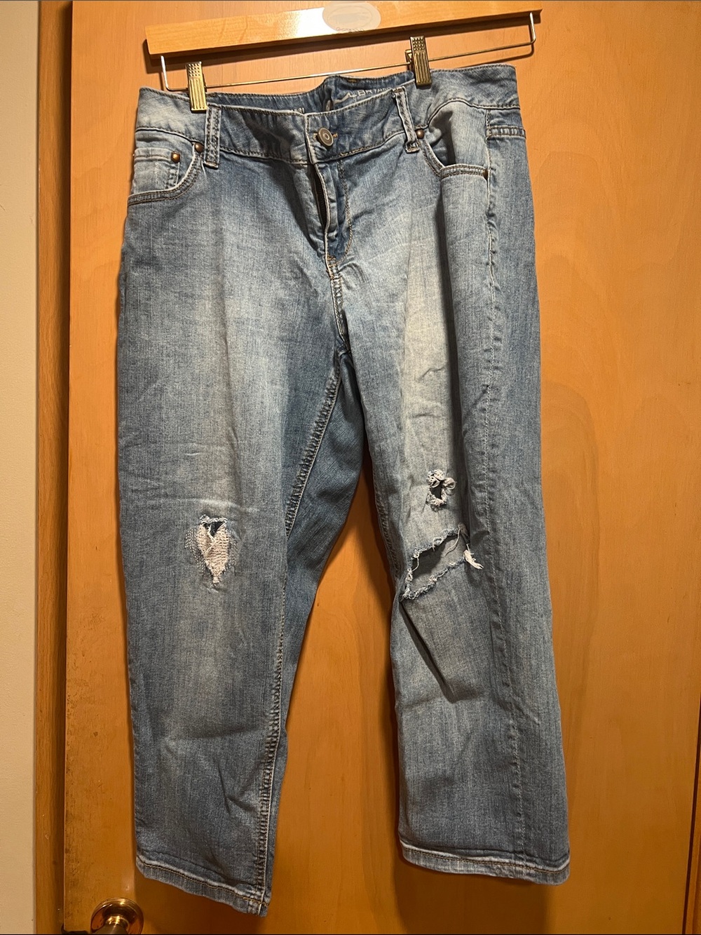 Lane Bryant Light Blue Denim Capri Jeans
